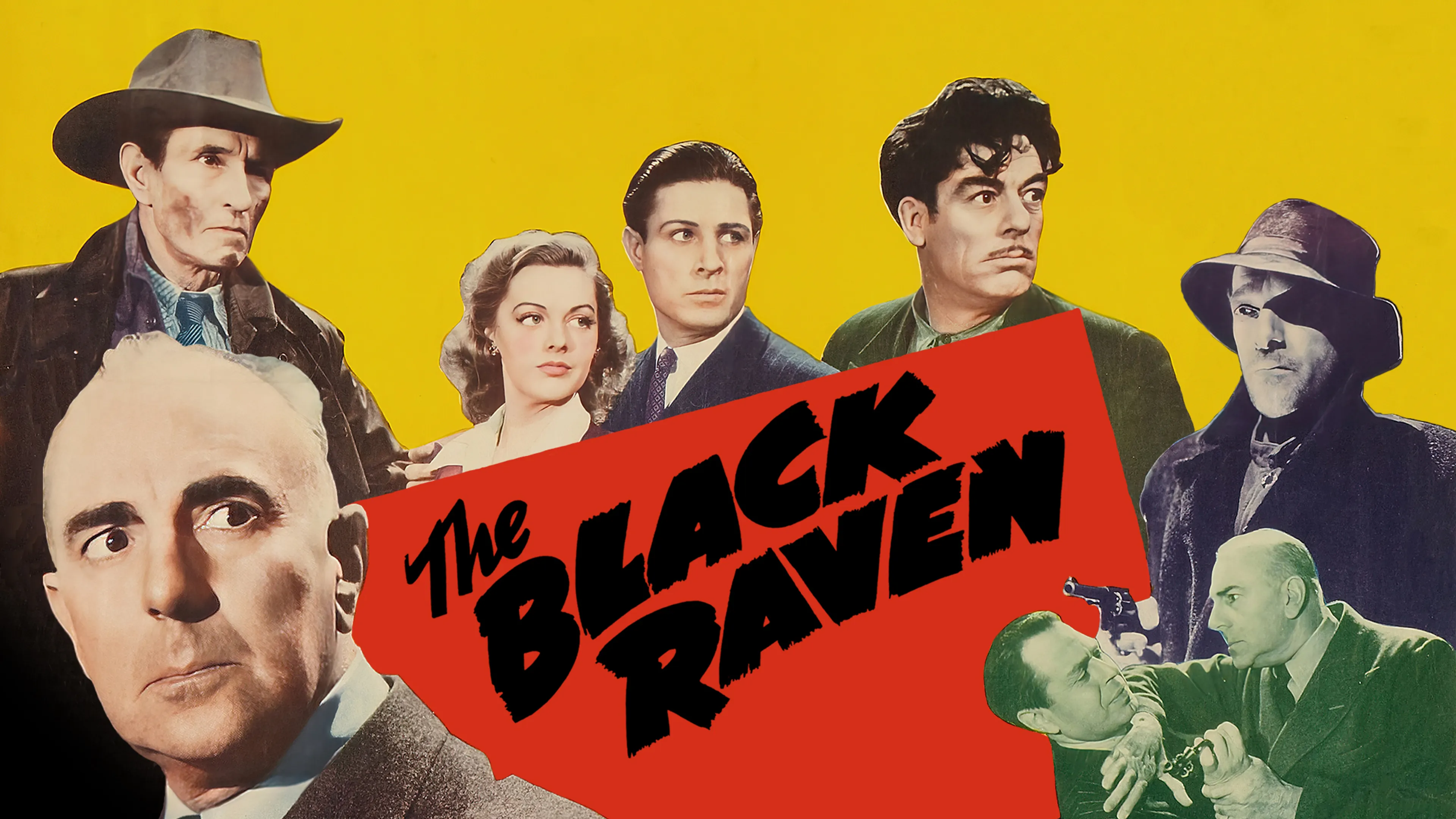 The Black Raven poster